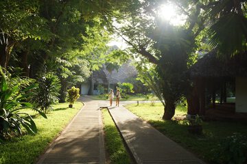 Garden view