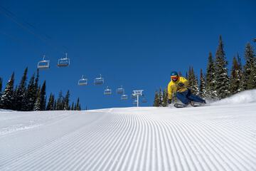 Snow and ski sports