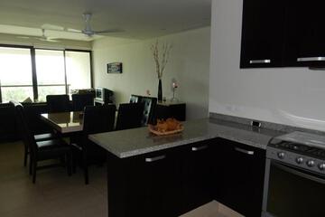 Photo 51