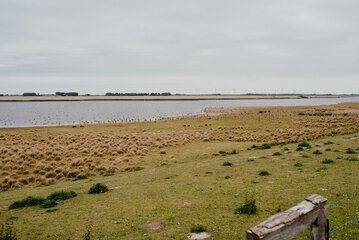 Land view from property