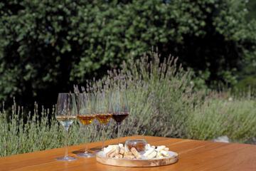 Winery
