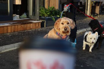 Coffee shop