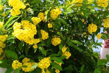 Photo 47