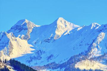 Photo 25