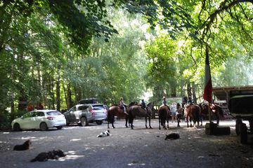 Horseback riding