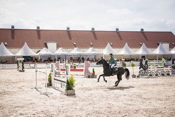 Horseback riding