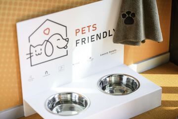 Pet-friendly