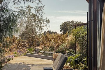 Vineyard view