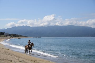 Horseback riding