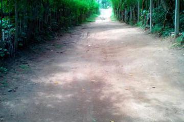 Photo 31