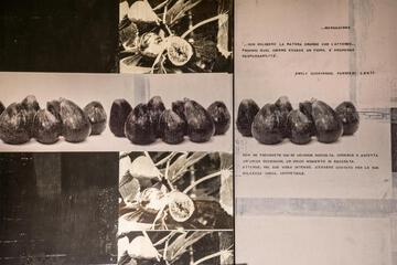 Photo 39