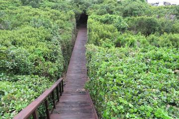 Photo 24