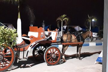 Ecotours