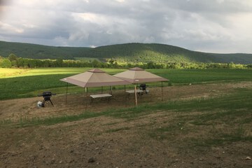 BBQ/picnic area