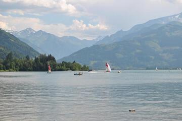 Photo 44