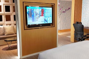 Television
