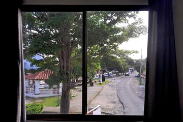 Park view