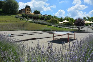 Sports facility