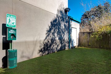 Pet-friendly amenities