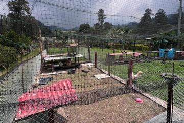 Photo 40