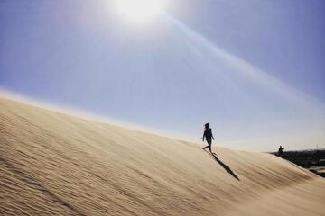 Photo 45