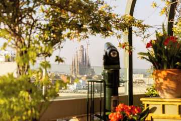 Rooftop terrace
