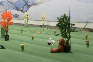Photo 13