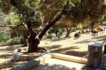Photo 46
