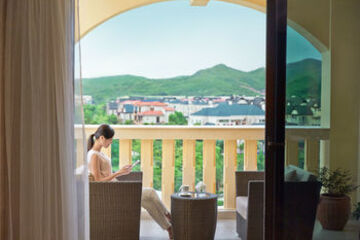 Terrace or Patio