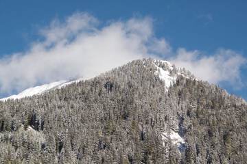 Mountain view