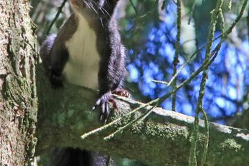 Photo 44