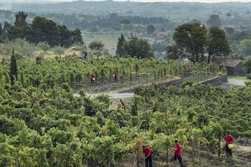 Winery