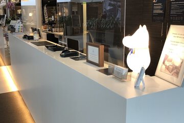 Cleanliness standards