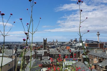 City view from property