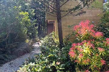 Photo 33