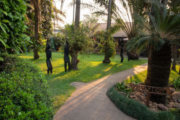 Garden view