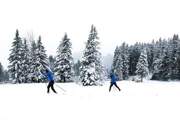 Skiing