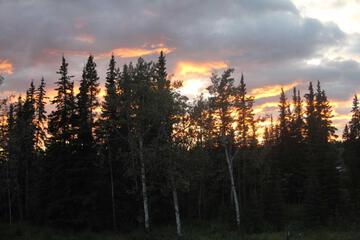 Photo 91