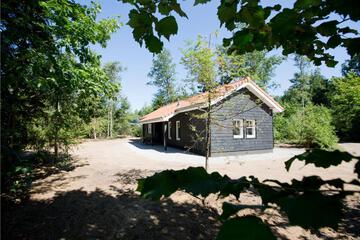 Photo 43