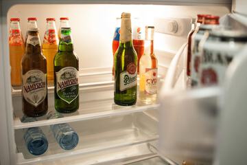 Mini-refrigerator