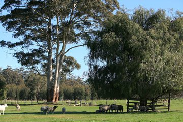 View from property