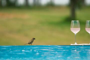 Private pool