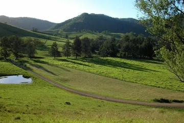 Photo 4
