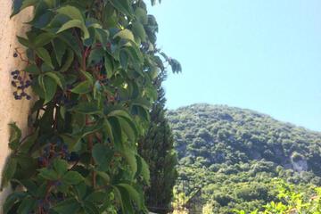 Photo 30