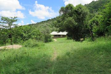 Photo 29
