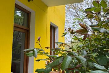 Photo 45