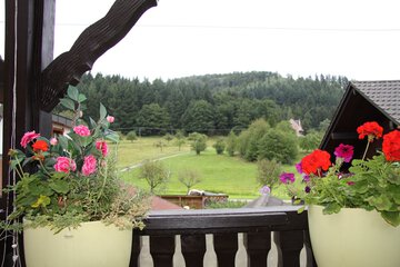 Balcony view