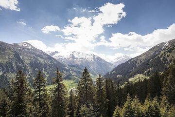 Hiking
