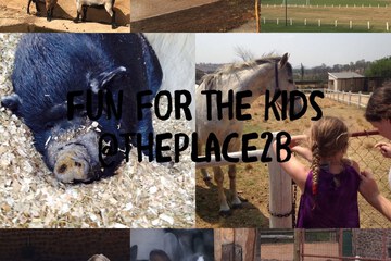 Children's activities