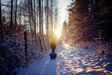 Sledding